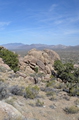 DSC_0878t.jpg